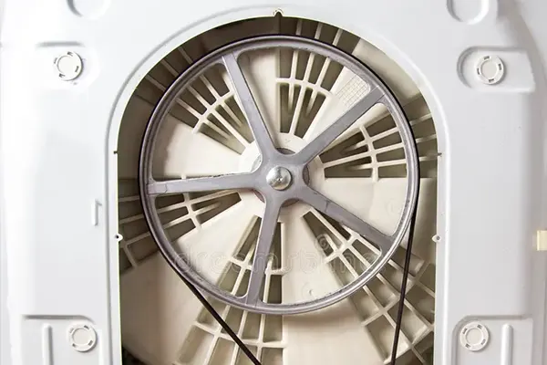 Lotis Machina Pulley: Cor Spinae Cycle